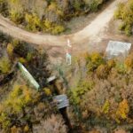 Chorchana forest november 2022